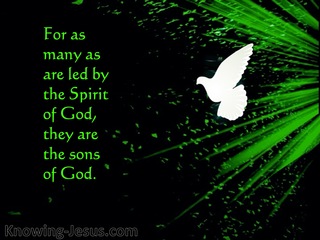 Romans 8:14 You Have Received A Spirit Of Adoption As Sons (green)